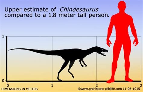 Rise of dinosaurs linked to increasing oxygen levels.